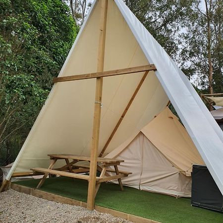 Bungalows Y Glamping Medina Sidonia Exterior foto