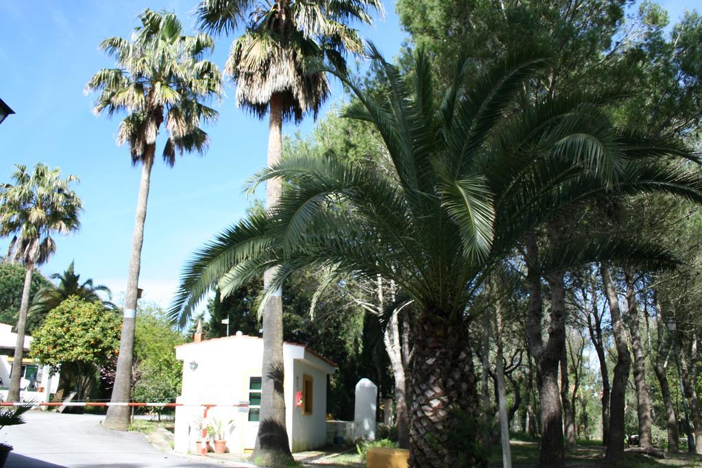 Bungalows Y Glamping Medina Sidonia Exterior foto