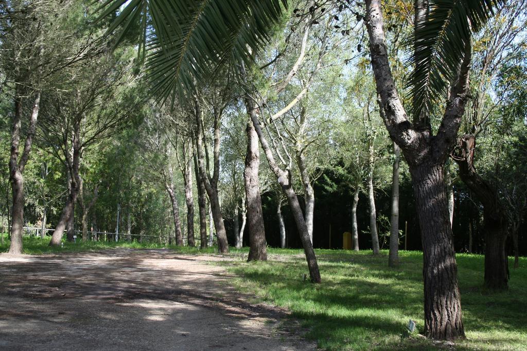 Bungalows Y Glamping Medina Sidonia Exterior foto
